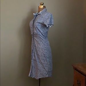 Dizzy Lizzie Dress